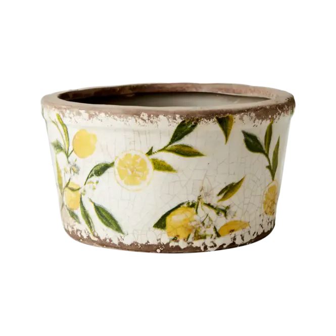 Hovedbilde LEMONA Potter