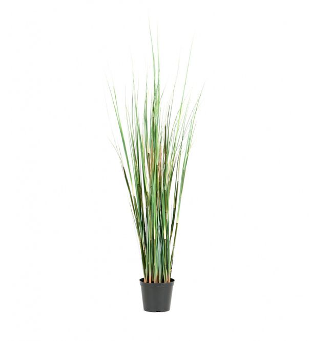 Hovedbilde GRESS 95cm