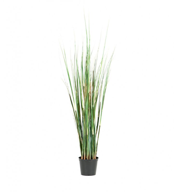 GRESS 95cm