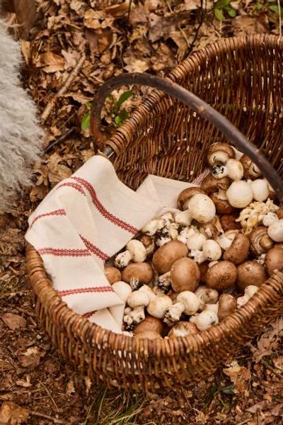 Hovedbilde KURV Oval Med Ubarket Pilhank