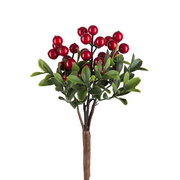 Hovedbilde Kvist Røde bær med løv