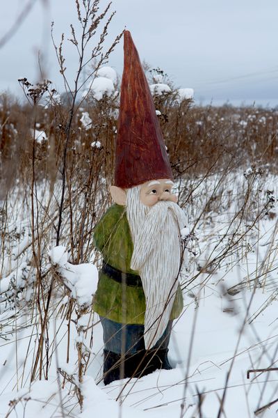 Hovedbilde JULENISSE Vette Maxi 