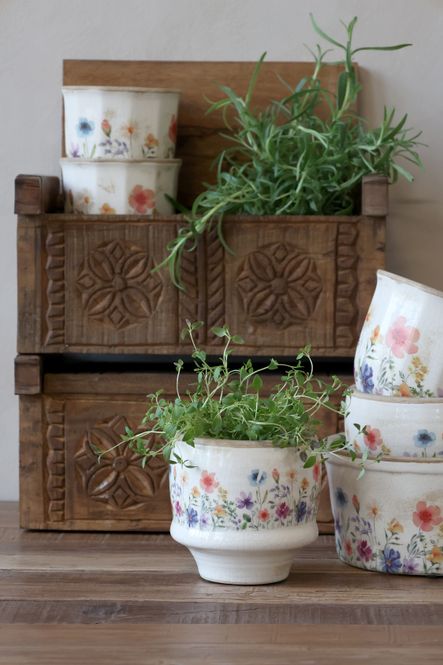 Hovedbilde POTTER Fleurville Serie 