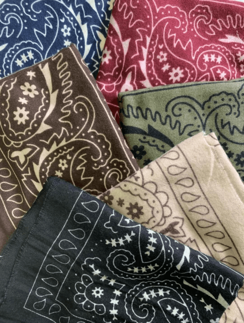 Hovedbilde SKJERF 23 Paisley