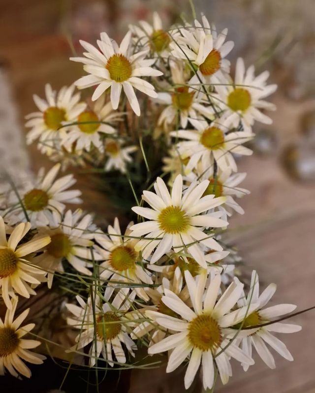 STRÅ med Gul Blomst 