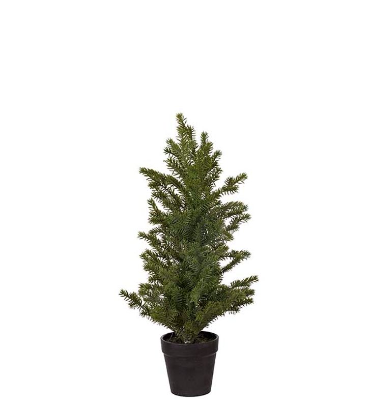 GRAN i Potte 45 cm