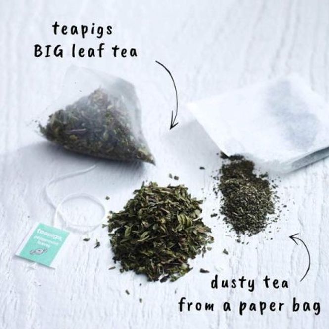 Hovedbilde TEAPIGS Peppermint Leaves
